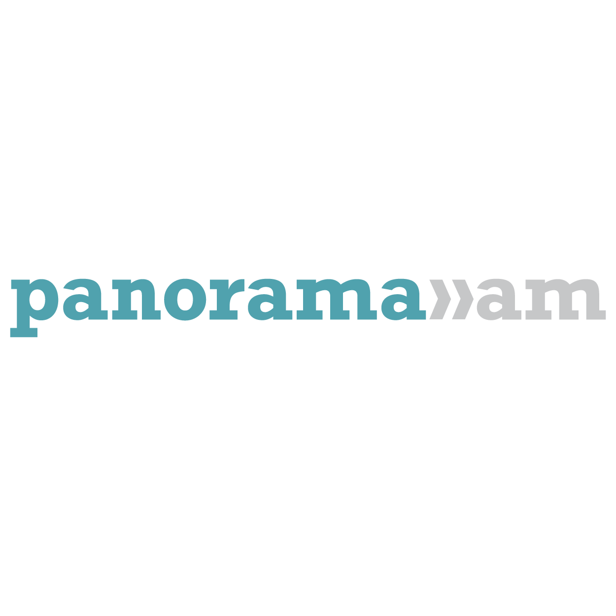 panorama logo 300-01