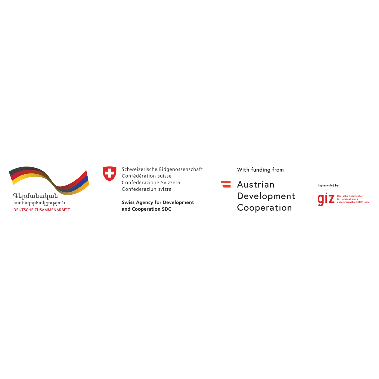 GIZ logo for website partner-01